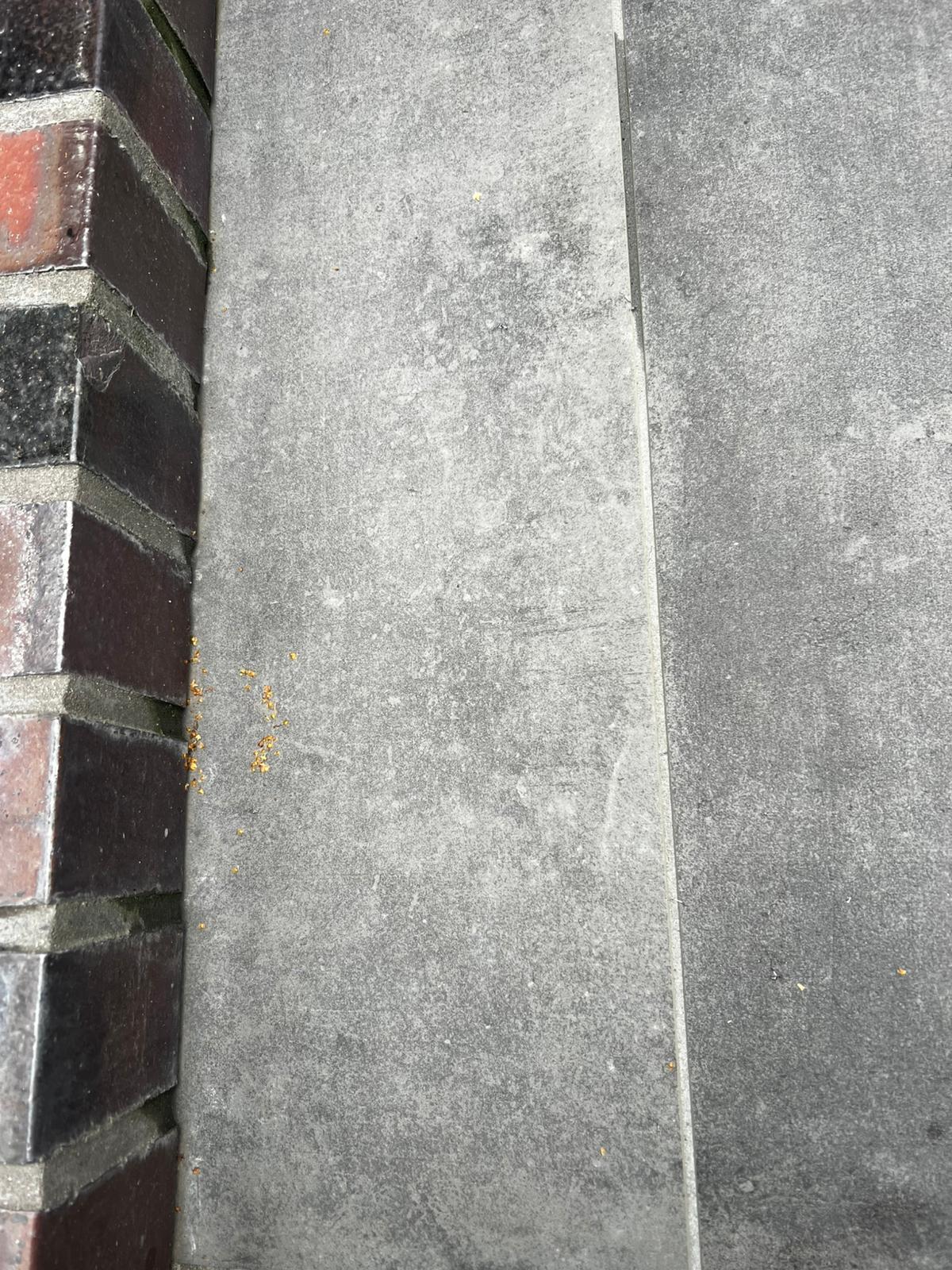 Dokumentierte Objektpflege fuer Gewerbe- und Verwaltungsflaechen in Hamburg Foto 32